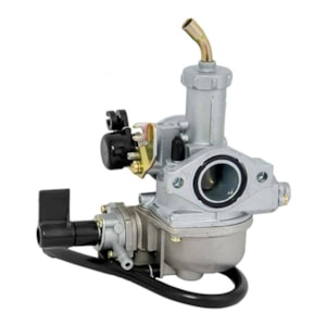 Carburador BIZ 125 2006-08 (SCUD) 10090010