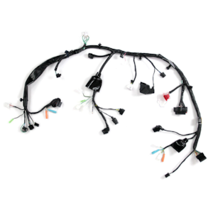 CHICOTE COMP CG 160 ESD FAN 2022-23 (MAGNETRON) 90286490