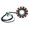 ESTATOR COMPLETO FACTOR 125 2011-12 ED (SCUD) 10660003
