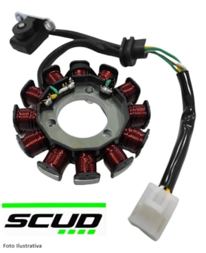 Estator Completo FAN 125 2009-13 (SCUD) 10660004