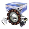 Estator Completo XTZ 125 2011-16 (TMAC)