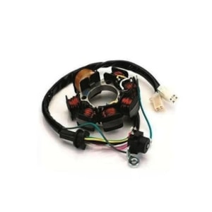 Estator Completo YBR 125 2000 a 2001 (magnetron)