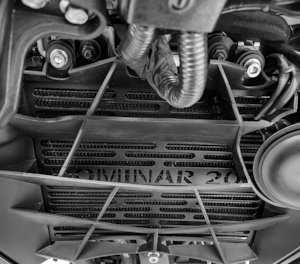 Protetor Radiador Bajaj Dominar 160/200 2023- (SCAM)