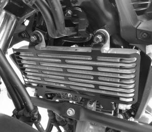 Protetor Radiador CB 300F Twister 2023- ( SCAM ) Preto