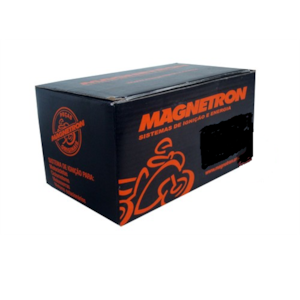 REGULADOR RETIFICADOR SUNDOWN FUTURE 125 (MAGNETRON) 