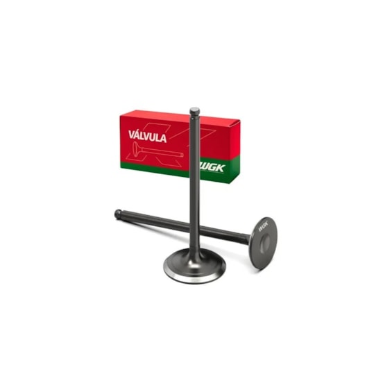 VALVULA DE ESCAPE CG-160 (WGK) 10112021